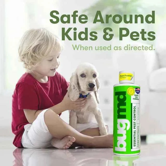 BUGMD Pest Control Essential Oil Concentrate 3.7 oz - Plant Powered Bug Spray, Kills Bugs Spiders Fleas Ticks Roaches, Ant Spray Indoor, Ant Killer for House, Flea Spray for Home, Bed Bug Spray BUGMD Pest Control Essential Oil Concentrate 3.7 oz - Plant Powered Bug Spray, Kills Bugs Spiders Fleas Ticks Roaches, Ant Spray Indoor, Ant Killer for House, Flea Spray for Home, Bed Bug Spray